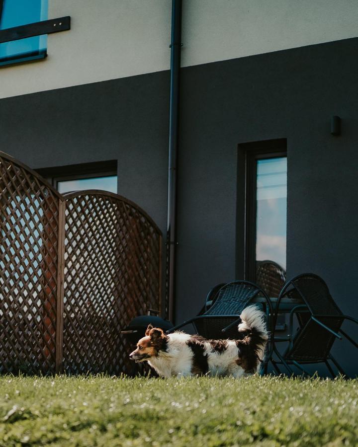 Jeleni Jar Apartamenty Duszniki Zdrój Exterior foto