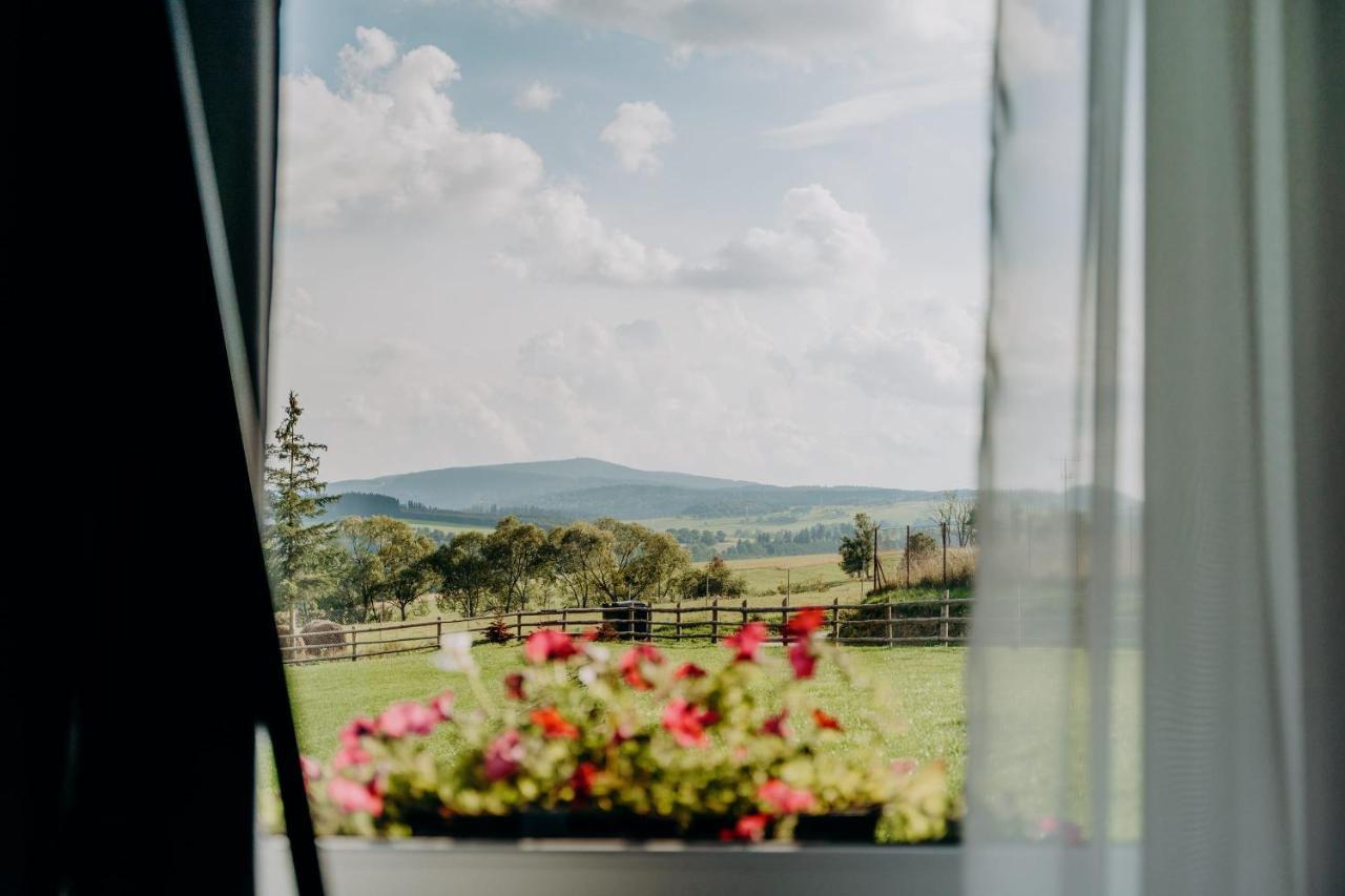 Jeleni Jar Apartamenty Duszniki Zdrój Exterior foto